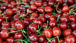 'ABD-Çin ticaret savaşı Türk kirazına yarayabilir'