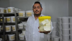'Antep peyniri' sınırları aşıyor
