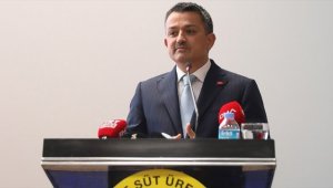 Bakan Pakdemirli'den etçi buzağı desteği müjdesi