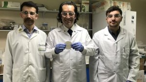 Çelikten sağlam nanoselüloz film üretti