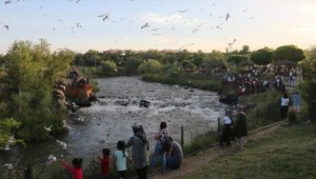 'Doğunun incisi' Van turistleri cezbediyor