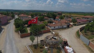 Leylek yavruları uçuşa hazırlanıyor