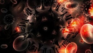 'HIV/AIDS' eğitim müfredatına girecek