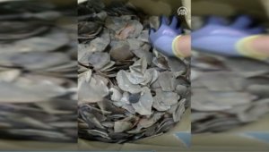İstanbul Havalimanı'nda 1,2 ton pangolin pulu ele geçirildi