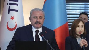 TBMM Başkanı Şentop: TİKA Türkiye'nin en önemli markası haline geldi