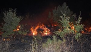Tekirdağ'da orman yangını
