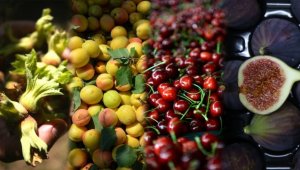 Türkiye 4 ürünün üretim ve ihracatında dünya lideri
