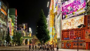 'Japonya'ya günlük uçuş sayısını 4'e çıkarmayı hedefliyoruz'