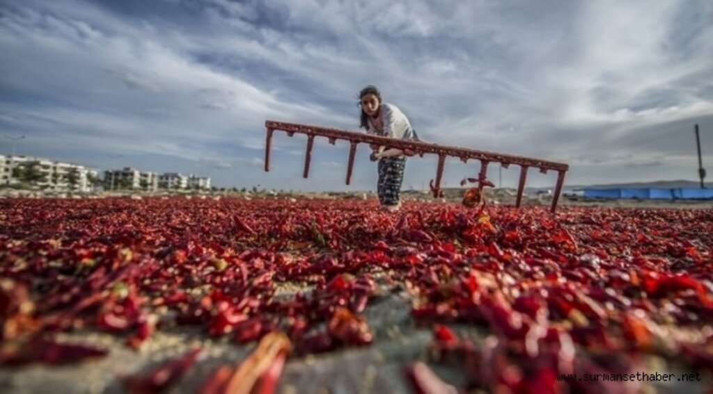 Muğla’da Yaşam” konulu fotoğraf yarışması