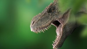 T-Rex'lerin kafataslarında klima işlevi gören delikler keşfedildi