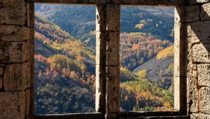 Doğu Karadeniz 'güz renkleri' ile bir başka güzel