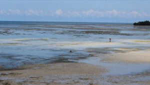 Ekmeğini gelgitten kazananların adası: Zanzibar