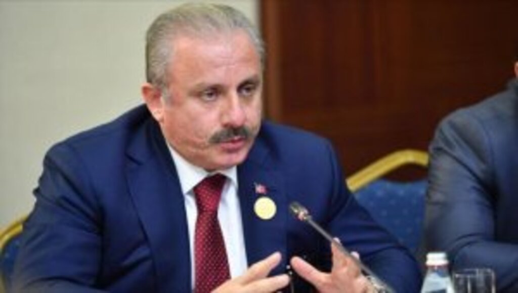 TBMM Başkanı Şentop: Avrupa Konseyinin çifte standartlı uygulamaları var