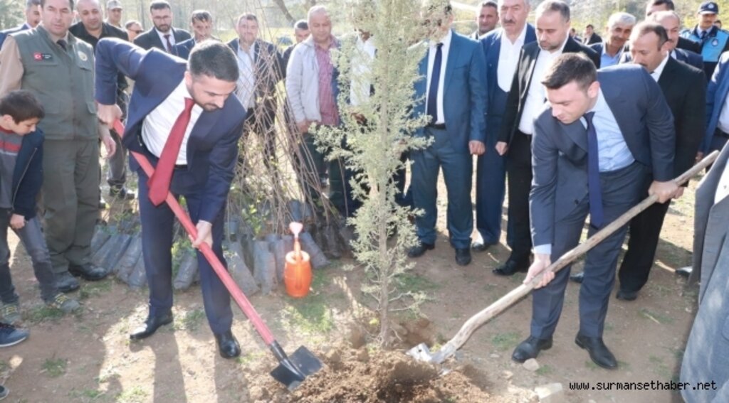 Ayvacık
