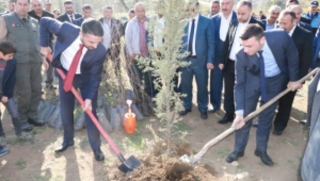 Ayvacık
