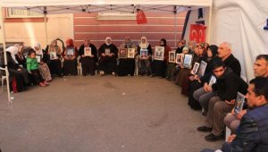 Diyarbakır annelerinden Türkiye'ye destek çağrısı