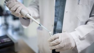 HIV'in yeni bir türü saptandı
