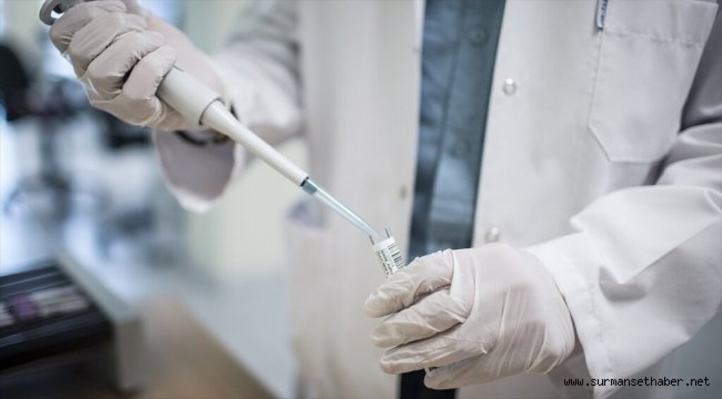 HIV'in yeni bir türü saptandı