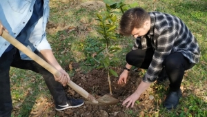 Benim de Bir Ağacım Var