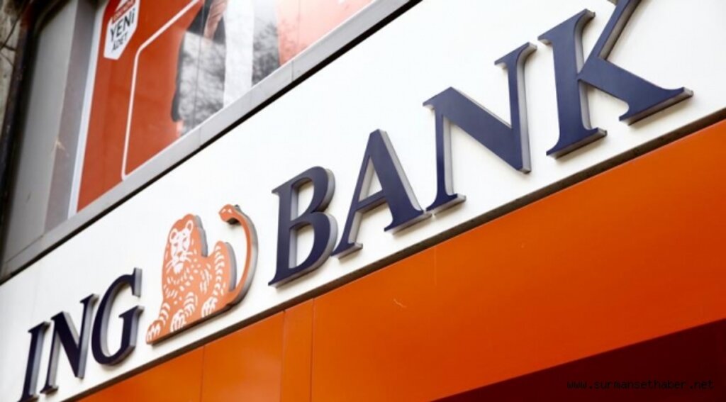ING Türkiye'den gönüllülük projelerine destek