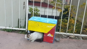 Mahallenin Çocuklarından Örnek Davranış