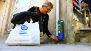 Sokak hayvanları için örnek davranış