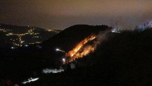 Trabzon'da 100 dönümlük alanda yangın çıktı