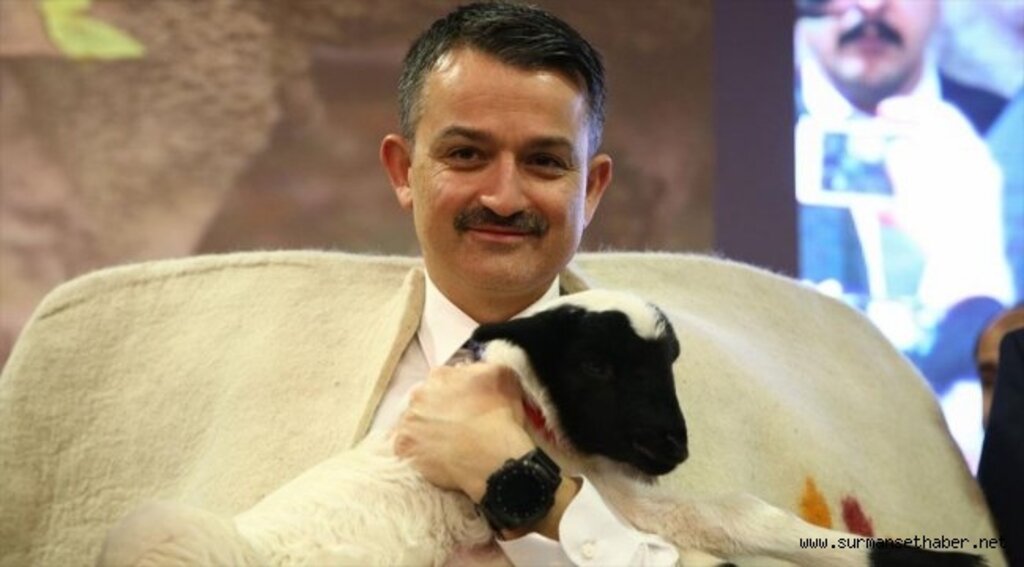 Bakan Pakdemirli: Çiftçiye Müjdeyi Verdi