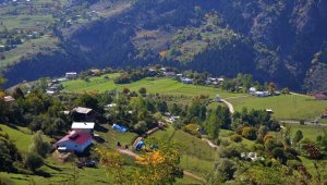 Doğu Karadeniz için 20 milyon liralık destek paketi