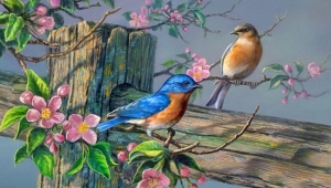 Samsun Karma Fotoğraf Sergisi İle Buluşuyor