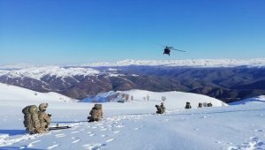 Bingöl'de 'Kapan-9 Karer Operasyonu'nu başlatıldı