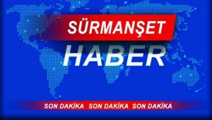 Son Dakika! 149 bin 382 iş yeri geçici süreliğine faaliyetlerine ara verdi