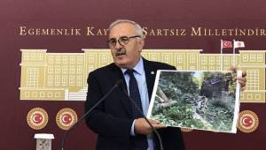 Milletvekili Bedri Yaşar