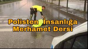 Yaralı Köpek Üşümesin Diye Montunu Verdi