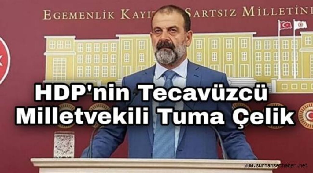 HDP Milletvekili Çelik'in tecavüz ettiği kadının dehşete düşüren ifadesi ortaya çıktı