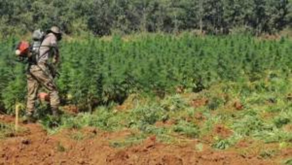 Terör Örgütü'nün Finans Kaynağı Uyuşturucuya Büyük Darbe