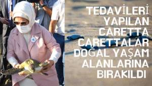 Tedavileri yapılan caretta carettalar doğal yaşam alanlarına bırakıldı
