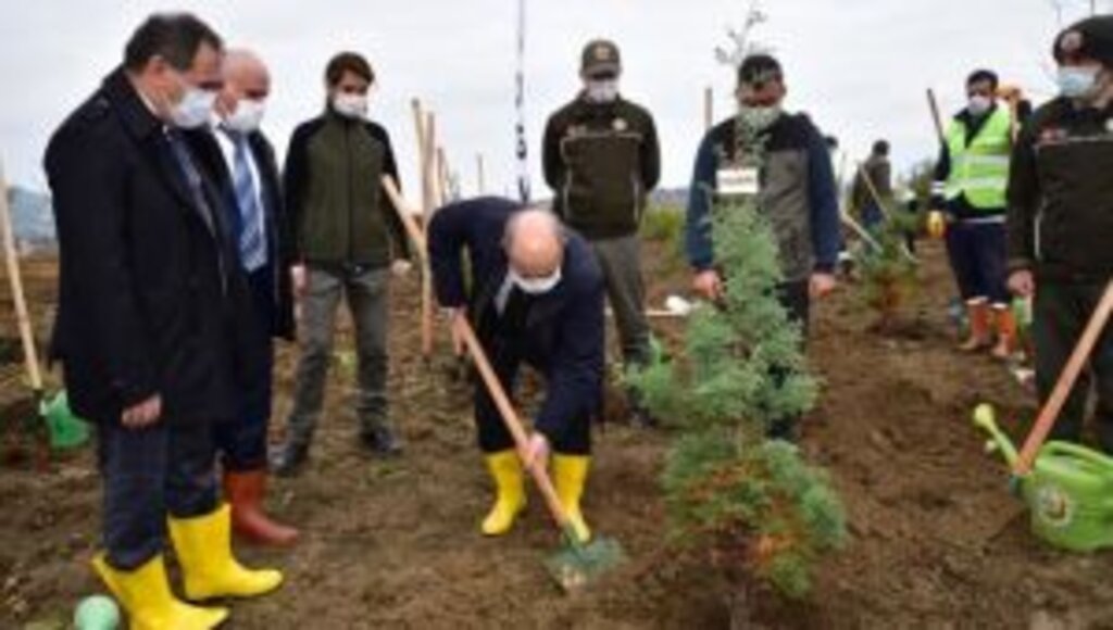 OMÜ’de Fidanlar Sağlık Çalışanlarına Vefa için Dikildi