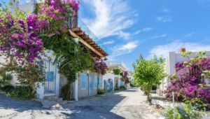BODRUM BELEDİYE MECLİSİ 4 ARALIK CUMA GÜNÜ TOPLANIYOR