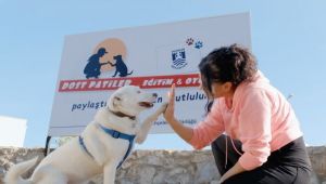 ONLARINDA ARTIK BİR PARKI VAR