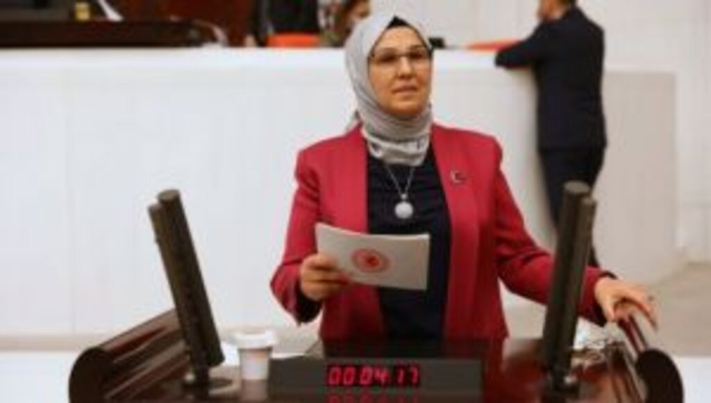 Radiye Sezer Katırcıoğlu ; ''Yerli Ve Milli Güçlü Türkiye Bütçesi''