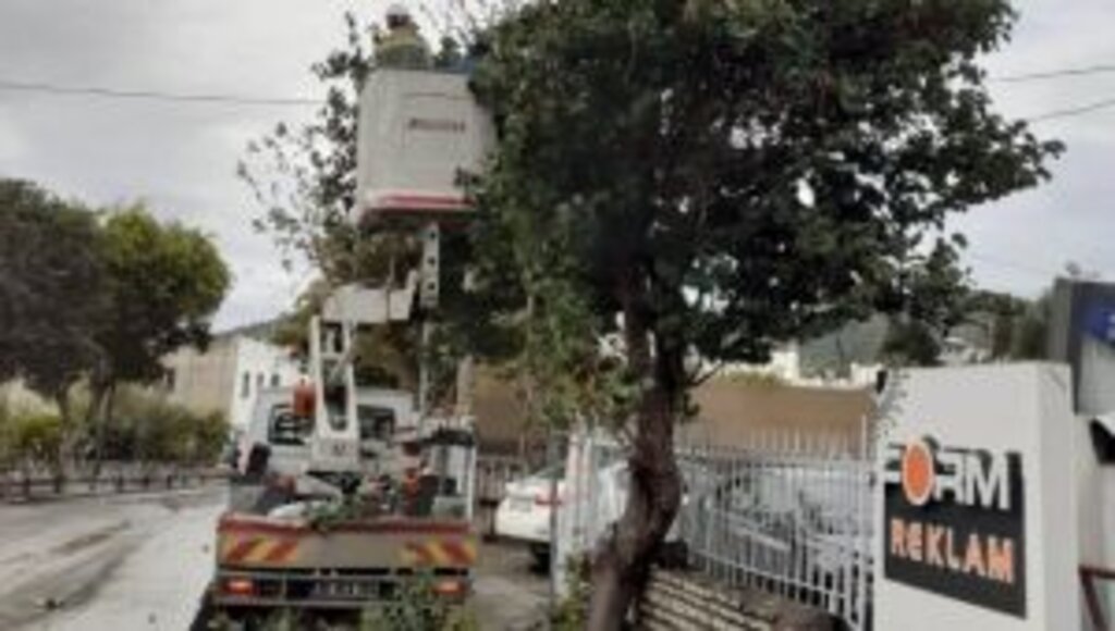 TEHLİKE ARZ EDEN DALLARA MÜDAHALE