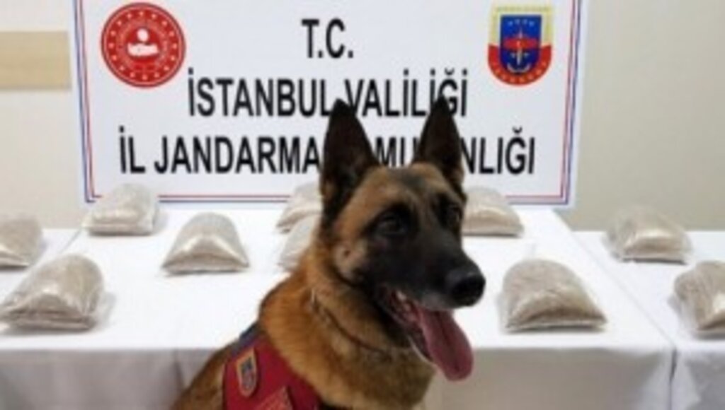 Atak, Zehir Tacirlerine Acımadı 14 Kilogram Uyuşturucu Madde Ele Geçirildi