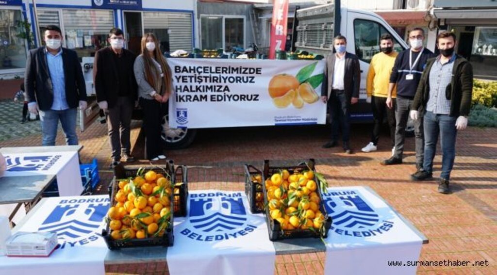 BELEDİYE BAHÇESİNDE MANDALİNA HASADI TAMAMLANDI
