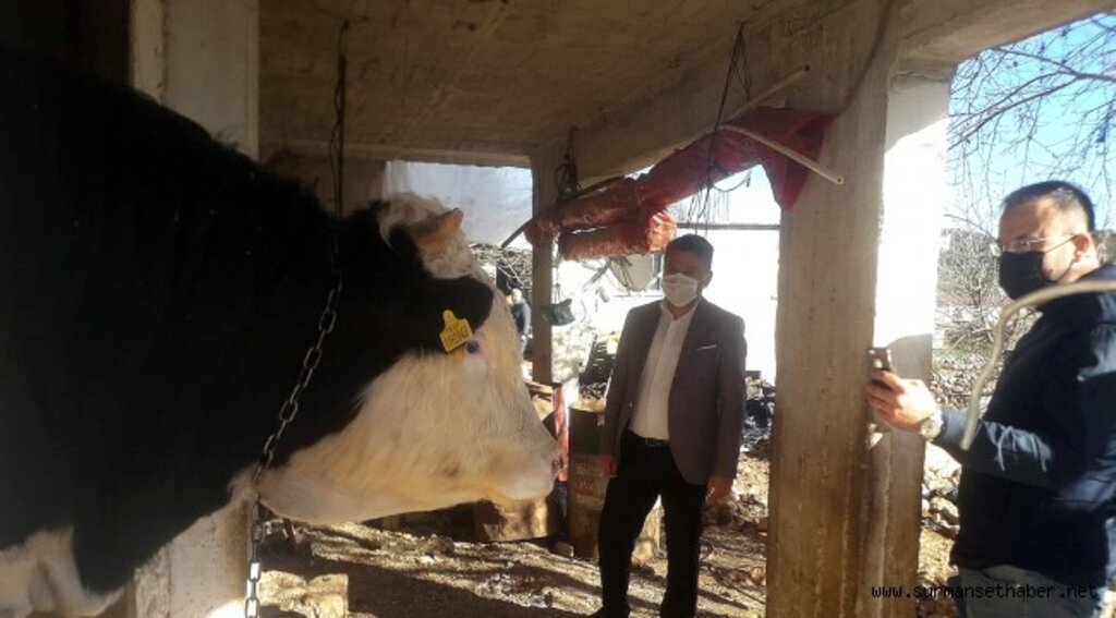 Demre’deki besicilerin ihtiyaçları belirlendi