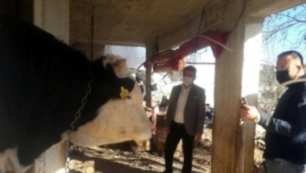 Demre’deki besicilerin ihtiyaçları belirlendi 