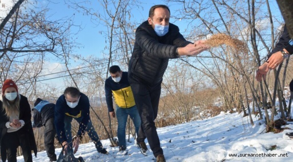 FATSA BELEDİYESİ DOĞAYA, KUŞLAR İÇİN YEM, SOKAK HAYVANLARI İÇİN MAMA BIRAKTI