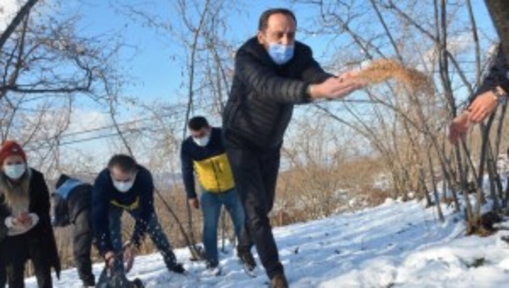 FATSA BELEDİYESİ DOĞAYA, KUŞLAR İÇİN YEM, SOKAK HAYVANLARI İÇİN MAMA BIRAKTI