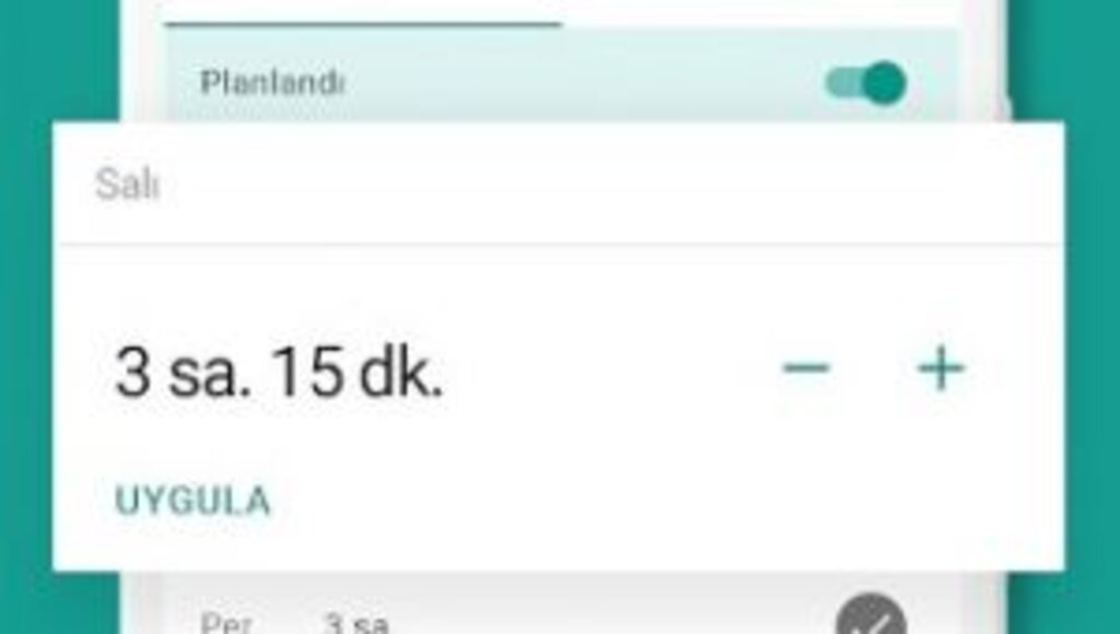 Google Family Link ne işe yarar ? Ebeveynlere ne gibi kullanım hakları sağlar ?