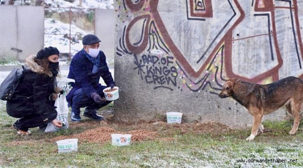 Karlı Günlerde Sokak Hayvanları Unutulmadı